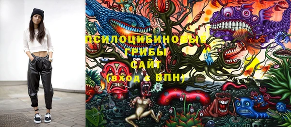 PSILOCYBIN Гусиноозёрск